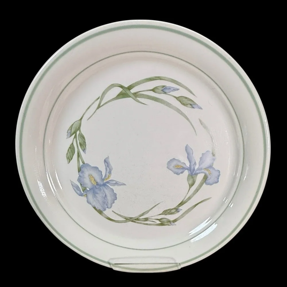Corelle Cornerstone‎ IRIS Dinner Plates 10 1/4